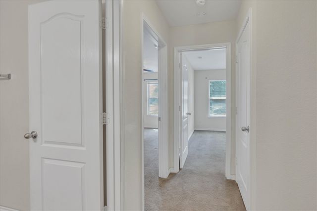 753 Snowy Orchid Lane, Desoto, TX 75115