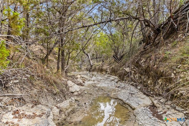 1600 Brushy Ridge Trail, Blanco, TX 78606