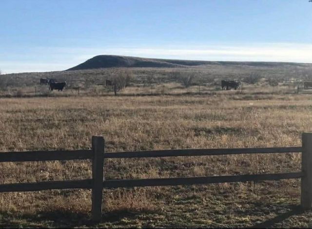 8 TASCOCITA Circle, Amarillo, TX 79124