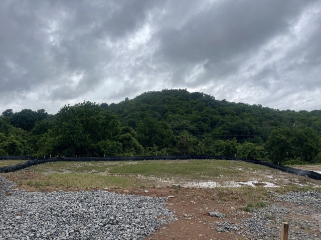 133 Berry Hunter Lane, Franklin, TN 37067