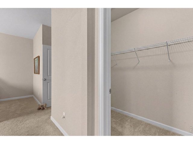 2431 Cottongrass Ave, Loveland, CO 80538