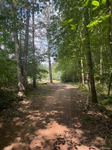 4835 Little Cedar Creek Drive, Attica, MI 48412