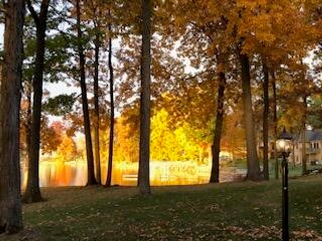 8495 O'dowling Drive, Onsted, MI 49265