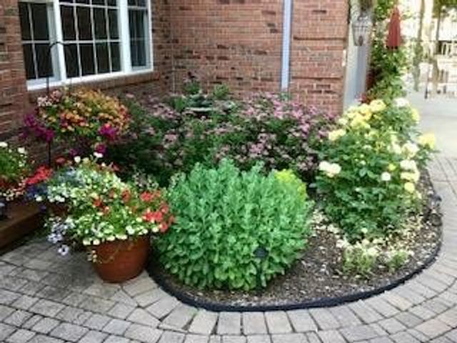 8495 O'dowling Drive, Onsted, MI 49265