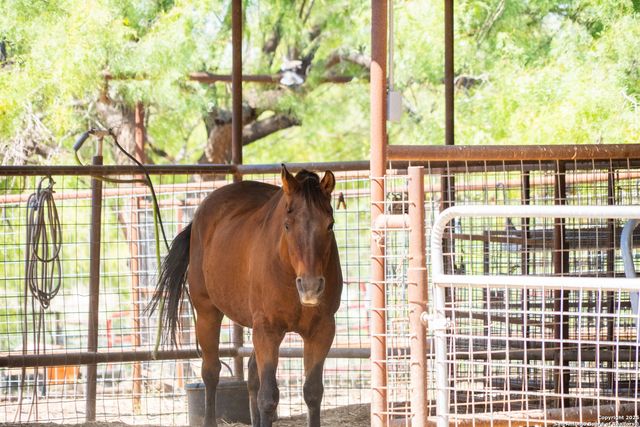 2133 Lausen, Del Rio, TX 78840