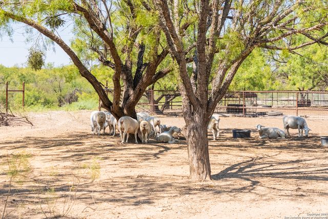 2133 Lausen, Del Rio, TX 78840