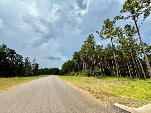 10769 Ruger Rd, Willis, TX 77378