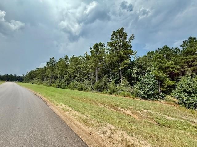 10769 Ruger Rd, Willis, TX 77378