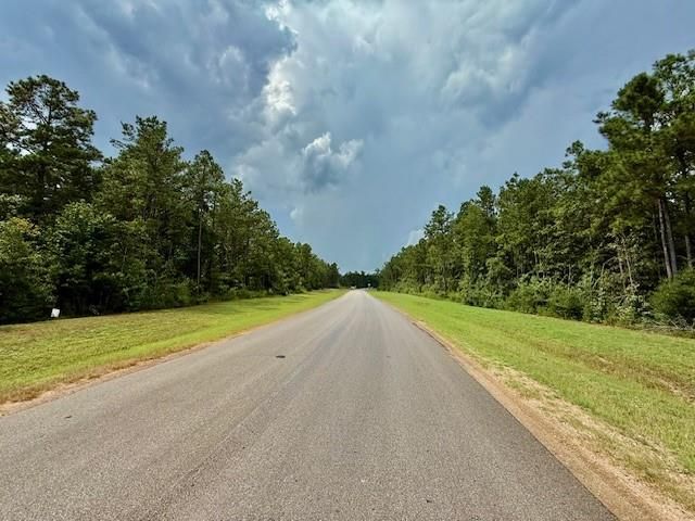 10769 Ruger Rd, Willis, TX 77378