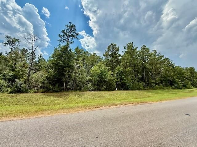 10769 Ruger Rd, Willis, TX 77378