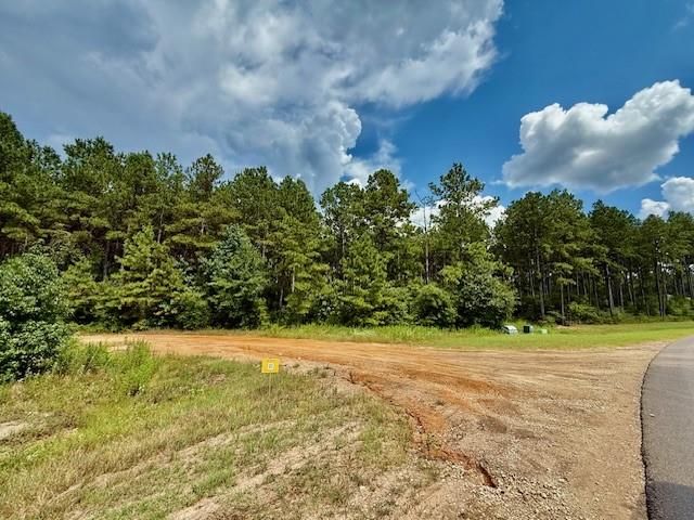 10769 Ruger Rd, Willis, TX 77378