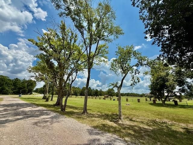 10769 Ruger Rd, Willis, TX 77378
