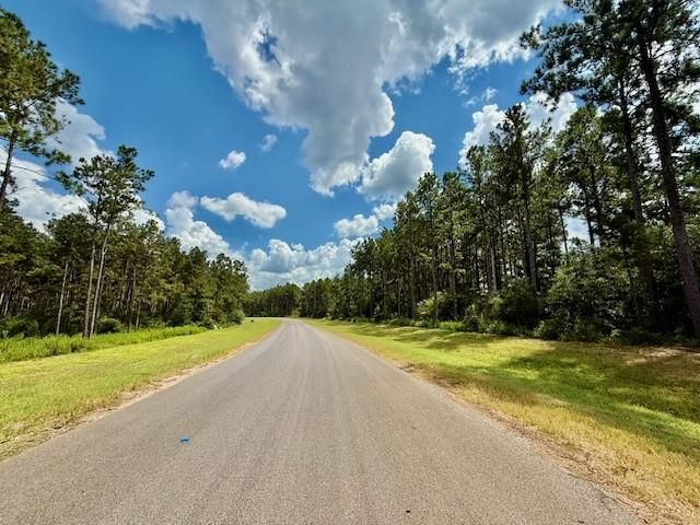10769 Ruger Rd, Willis, TX 77378