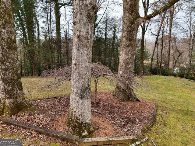 52 Starling Hill Lane, Clayton, GA 30525