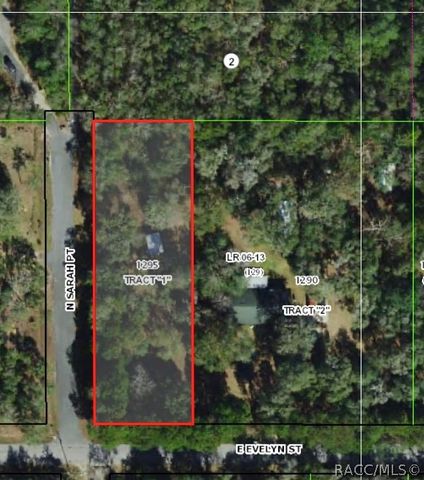 1801 E Evelyn Street, Hernando, FL 34442