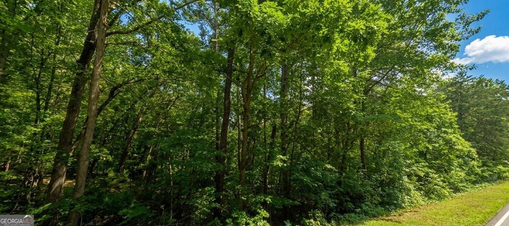 0 Ridgemore Circle LOT 12 AND 8A, Toccoa, GA 30577 — photo 3