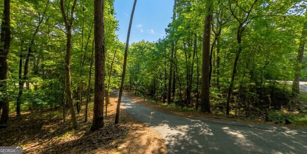 0 Ridgemore Circle LOT 12 AND 8A, Toccoa, GA 30577 — photo 5