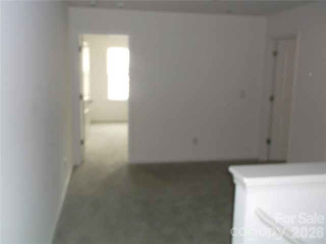 160 Cobbler Drive, Peachland, NC 28133