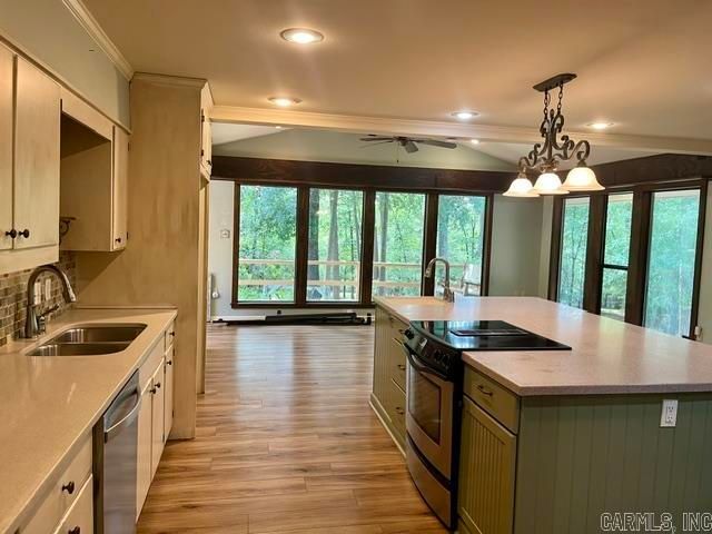 2267 Blackberry Lane, Conway, AR 72034