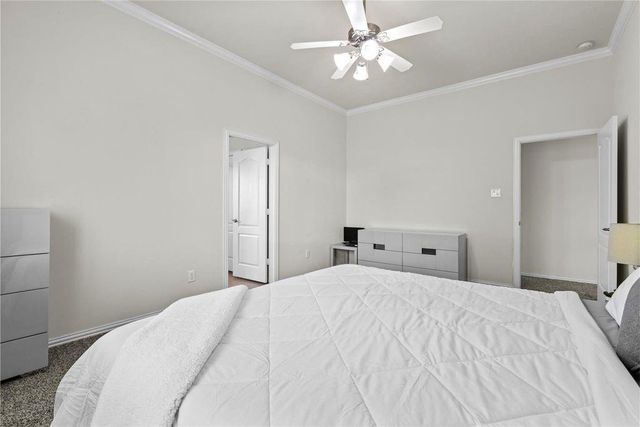 24526 Forest Canopy Drive, Katy, TX 77493