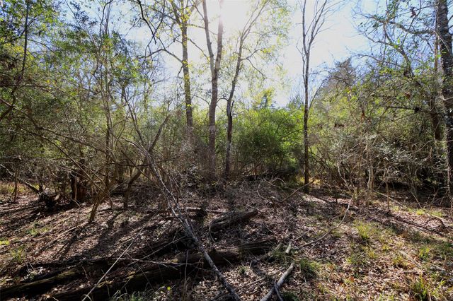 5.003 Acres Winding Meadow Drive, Bedias, TX 77831