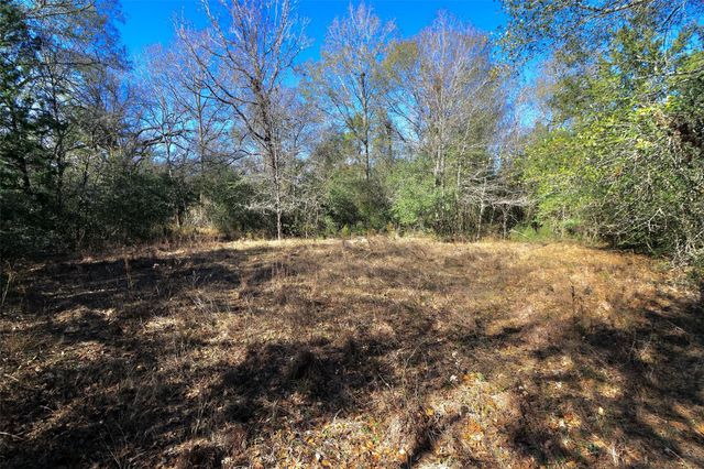 5.003 Acres Winding Meadow Drive, Bedias, TX 77831