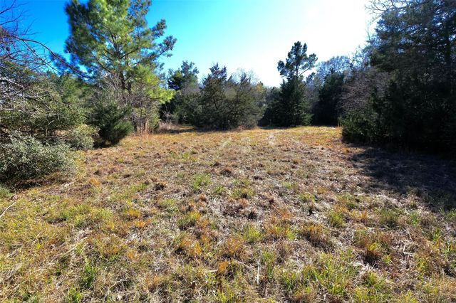 5.003 Acres Winding Meadow Drive, Bedias, TX 77831