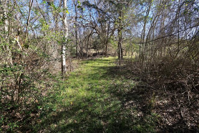 5.003 Acres Winding Meadow Drive, Bedias, TX 77831