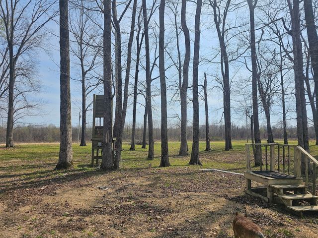 2615 Col James Hardin Dr, Clifton, TN 38425