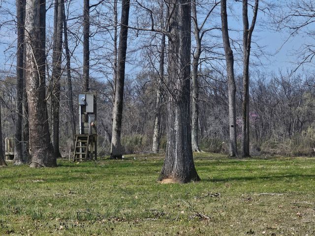 2615 Col James Hardin Dr, Clifton, TN 38425