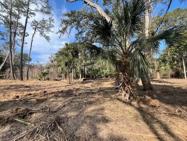 8917 Palmetto Road, Edisto Island, SC 29438