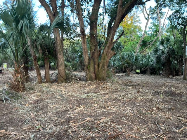 8917 Palmetto Road, Edisto Island, SC 29438