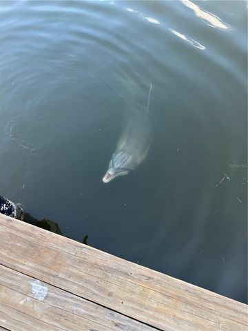 3821 NW 23RD STREET, Cape Coral, FL 33993