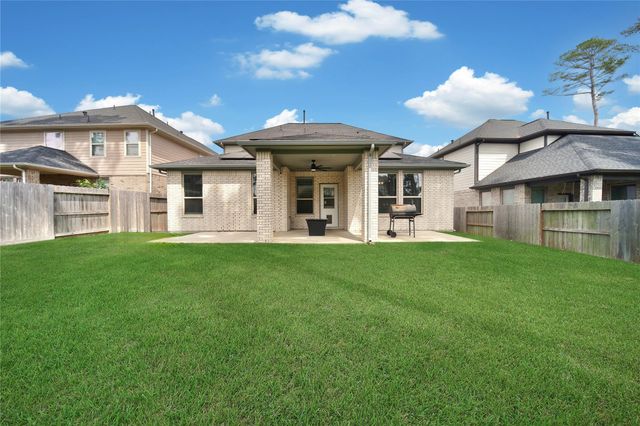 331 Silver Carp Trail, Willis, TX 77318