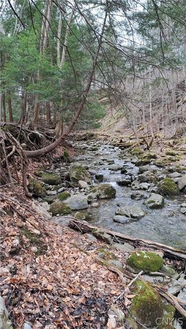 4315 Hepatica Hill Road, Pompey, NY 13104
