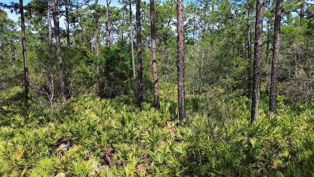 S APOPKA VINELAND ROAD, Orlando, FL 32821