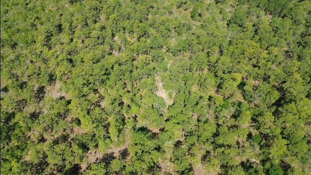 S APOPKA VINELAND ROAD, Orlando, FL 32821