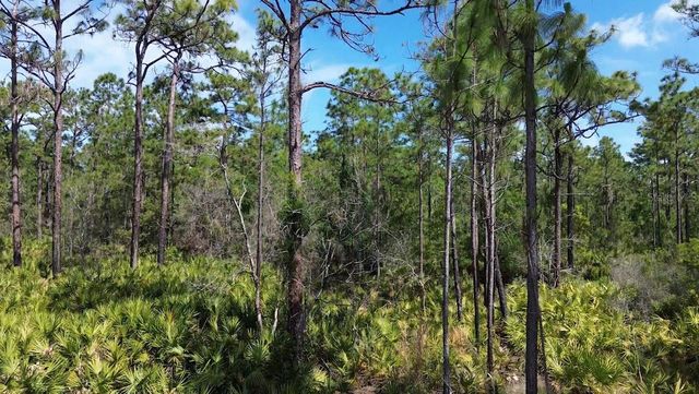 S APOPKA VINELAND ROAD, Orlando, FL 32821