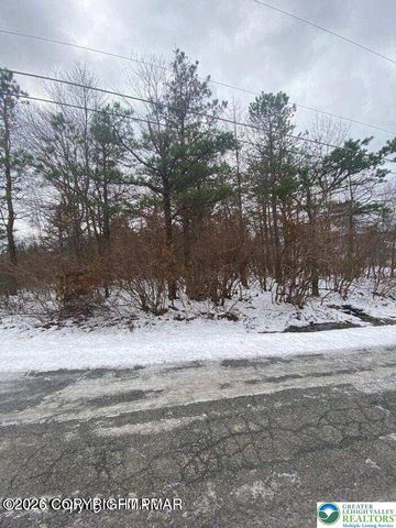 0 Mallard Lane, Pike, PA 18324
