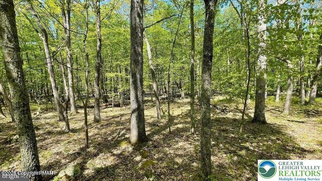 0 Mallard Lane, Pike, PA 18324