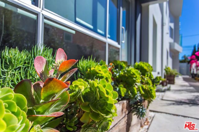 613 6TH Avenue, Venice (los Angeles), CA 90291