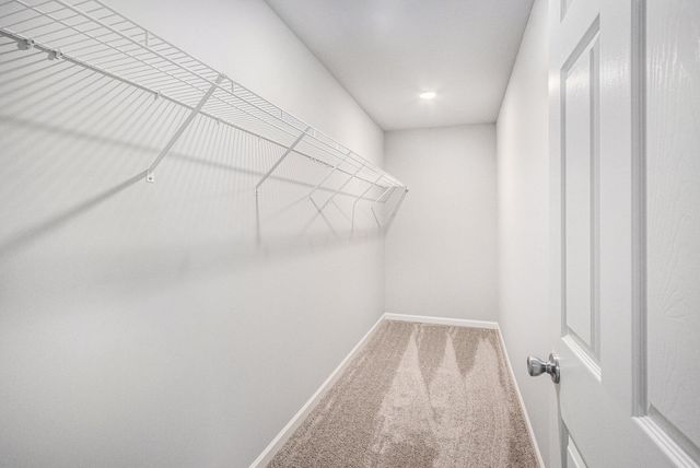 561 Needlewood Drive, Cedar Springs, MI 49319