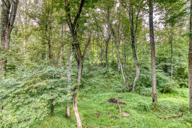 3 GRANDIE LN, Boston, VA 22713