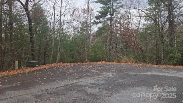 23 Jay Foster Way 22/23, Saluda, NC 28773