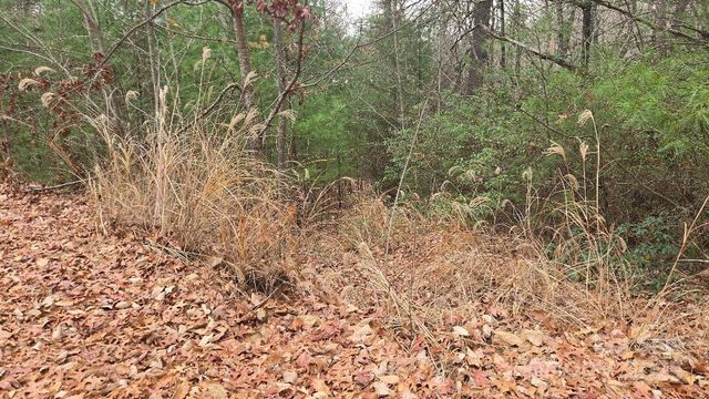 23 Jay Foster Way 22/23, Saluda, NC 28773