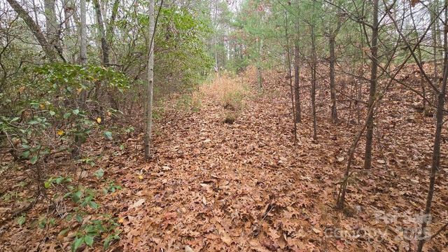 23 Jay Foster Way 22/23, Saluda, NC 28773