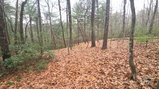 23 Jay Foster Way 22/23, Saluda, NC 28773