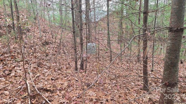 23 Jay Foster Way 22/23, Saluda, NC 28773