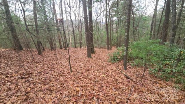 23 Jay Foster Way 22/23, Saluda, NC 28773