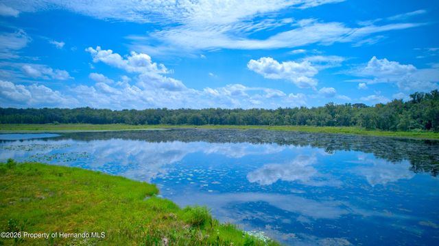 0 Ponce De Leon Blvd, Brooksville, FL 34601